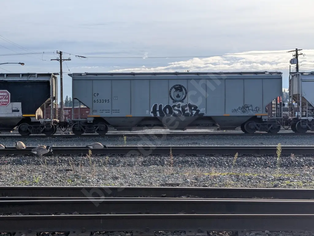 CP653395 - NORTH-AMERICA
