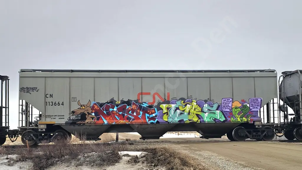 CN113664 - NORTH-AMERICA