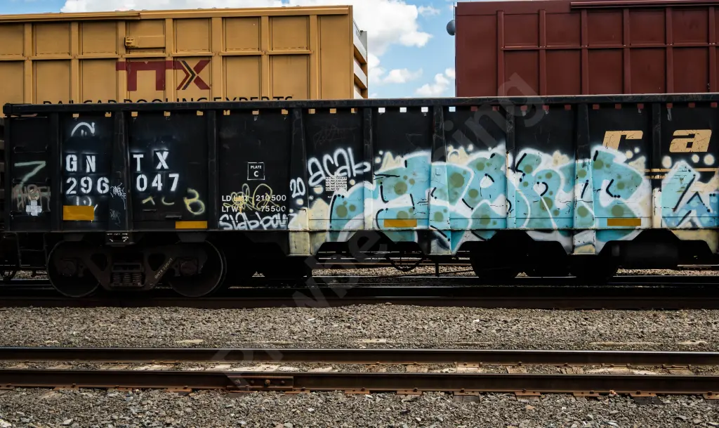 GNTX296047 - NORTH-AMERICA