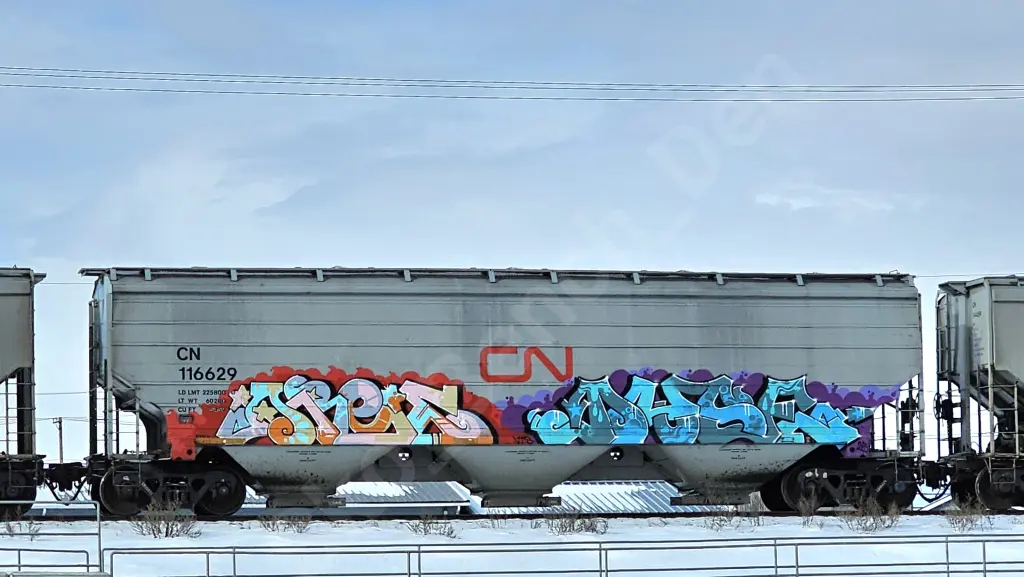 CN116629 - NORTH-AMERICA