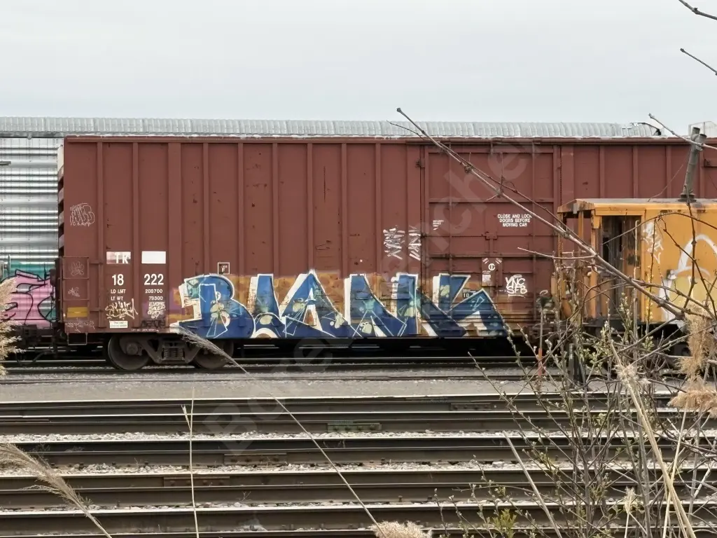 TR18222 - NORTH-AMERICA