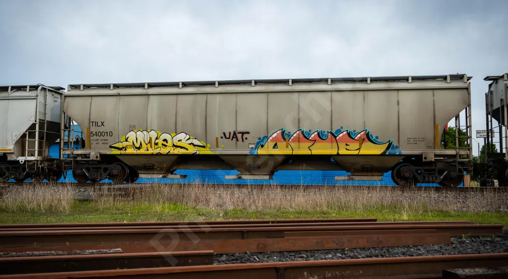 TILX540010 - NORTH-AMERICA