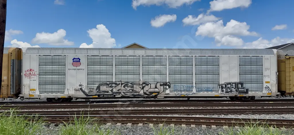 UP801229 - NORTH-AMERICA