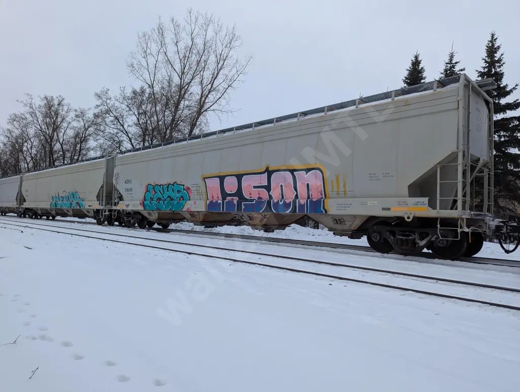 AOKX91648 - NORTH-AMERICA