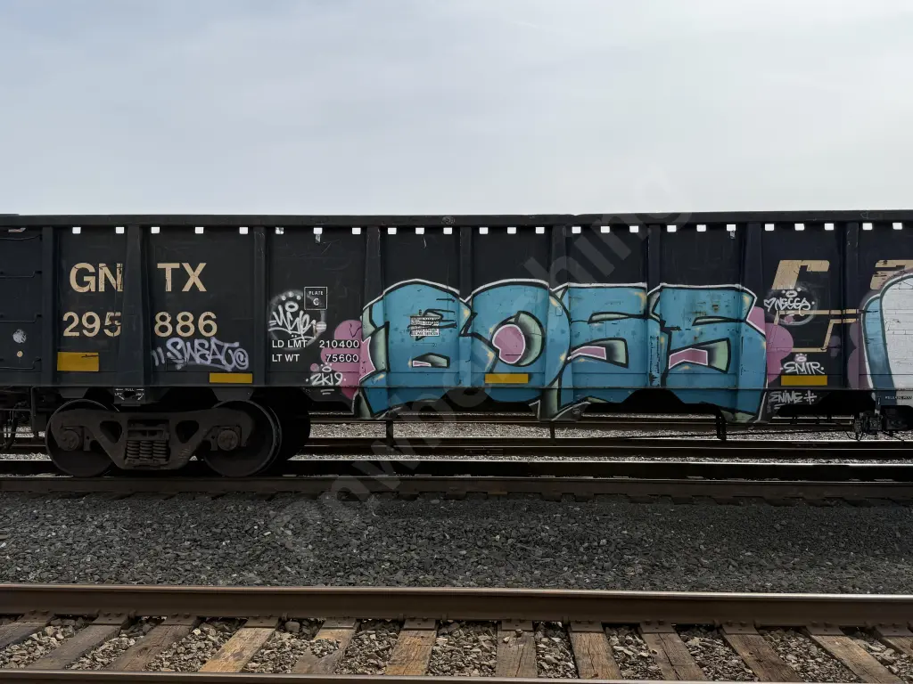 GNTX295886 - NORTH-AMERICA