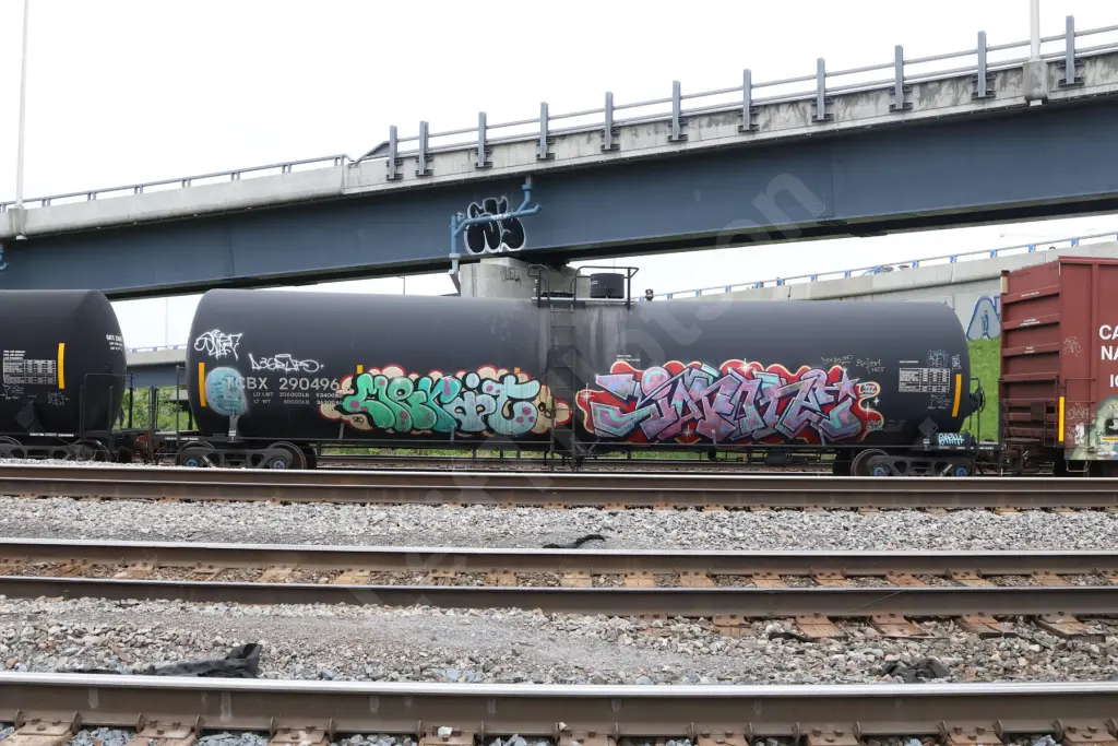 MCBX290496 - NORTH-AMERICA