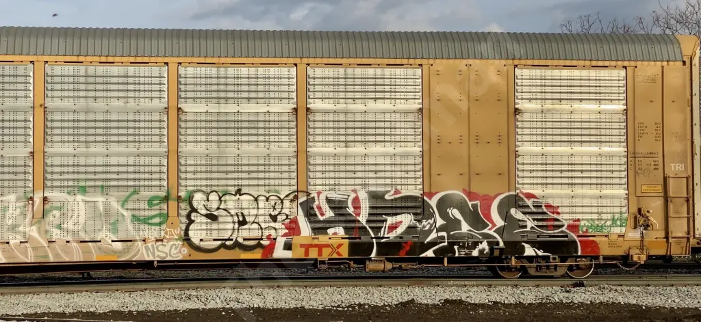 CTTX690821 - NORTH-AMERICA