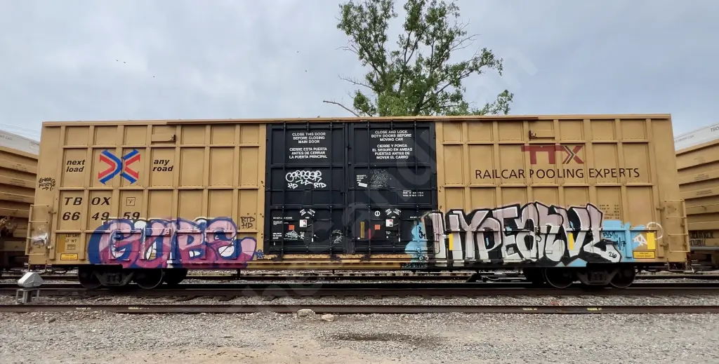TBOX664959 - NORTH-AMERICA