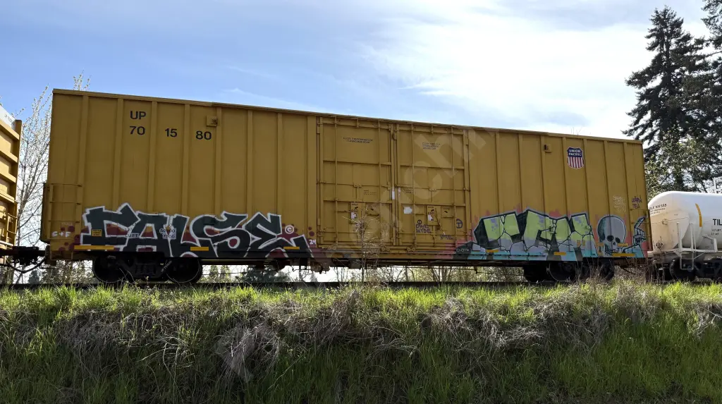 UP701580 - NORTH-AMERICA