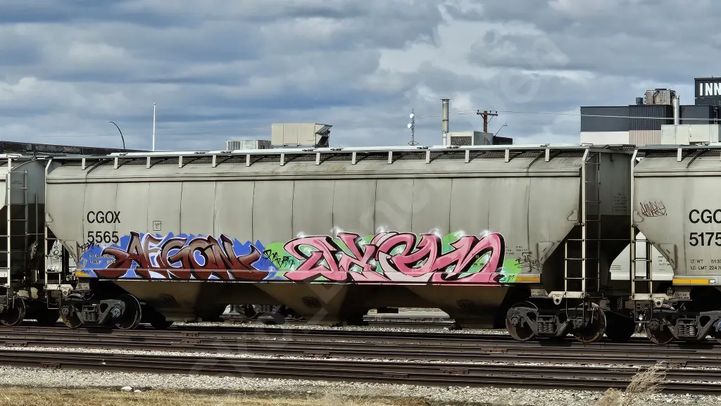 CGOX5565 - NORTH-AMERICA