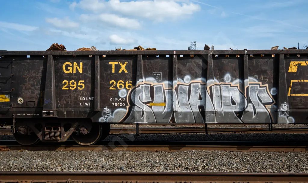 GNTX295266 - NORTH-AMERICA