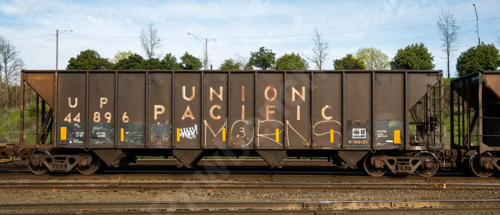 UP44896 - NORTH-AMERICA