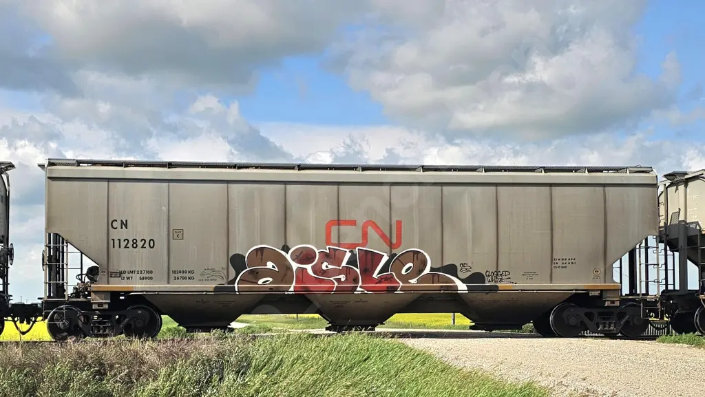 CN112820 - NORTH-AMERICA