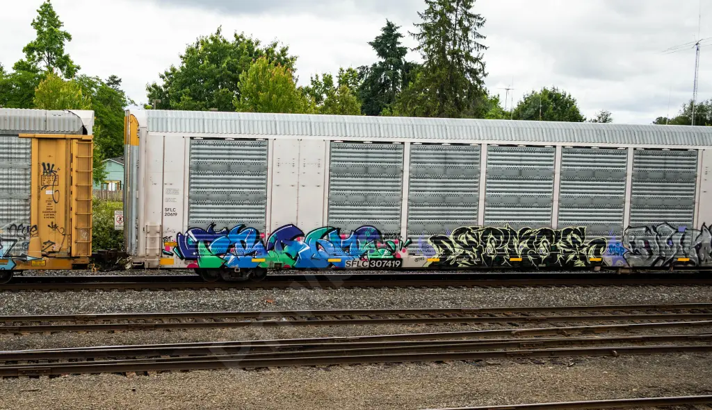 SFLC307419 - NORTH-AMERICA