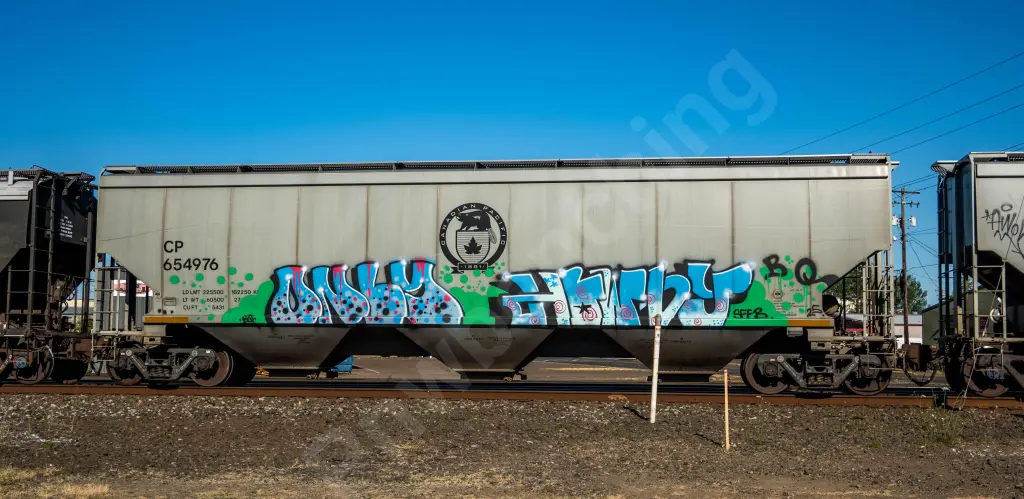 CP654976 - NORTH-AMERICA