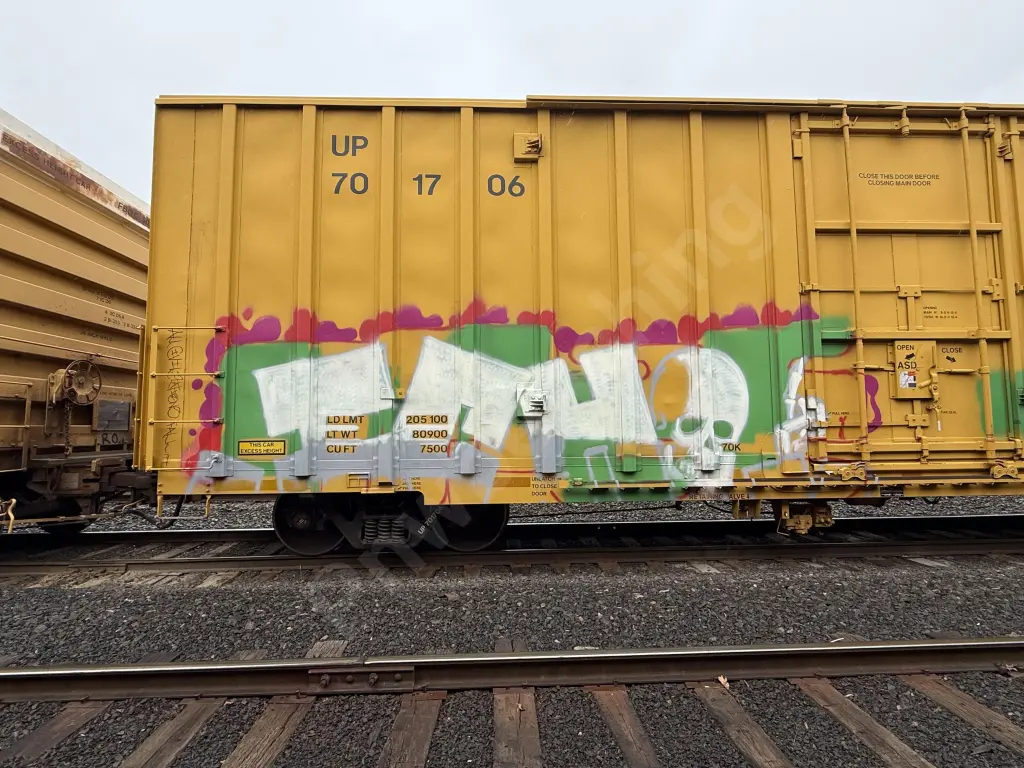 UP701706 - NORTH-AMERICA