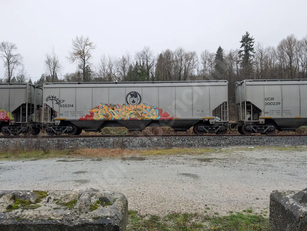 CP655314 - NORTH-AMERICA