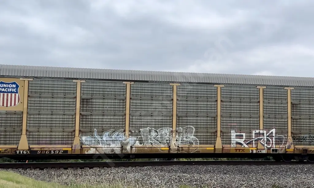 TTGX986592 - NORTH-AMERICA