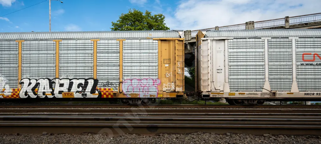 TTGX707531 - NORTH-AMERICA