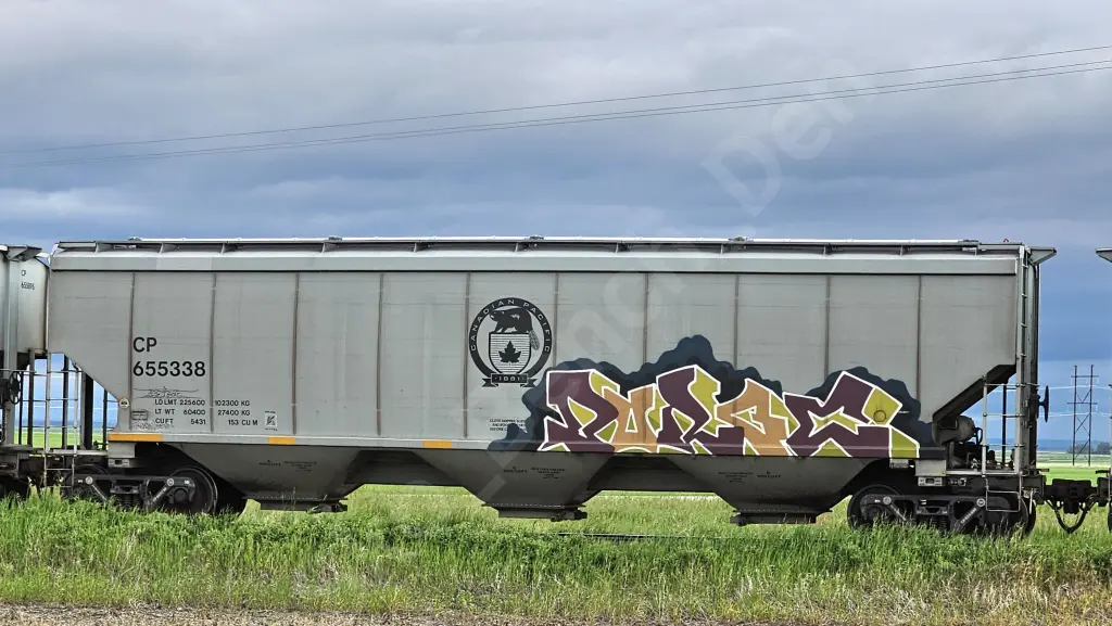 CP655338 - NORTH-AMERICA