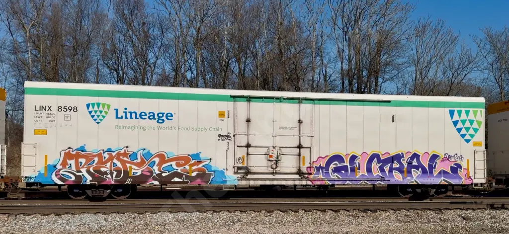 LINX8598 - NORTH-AMERICA
