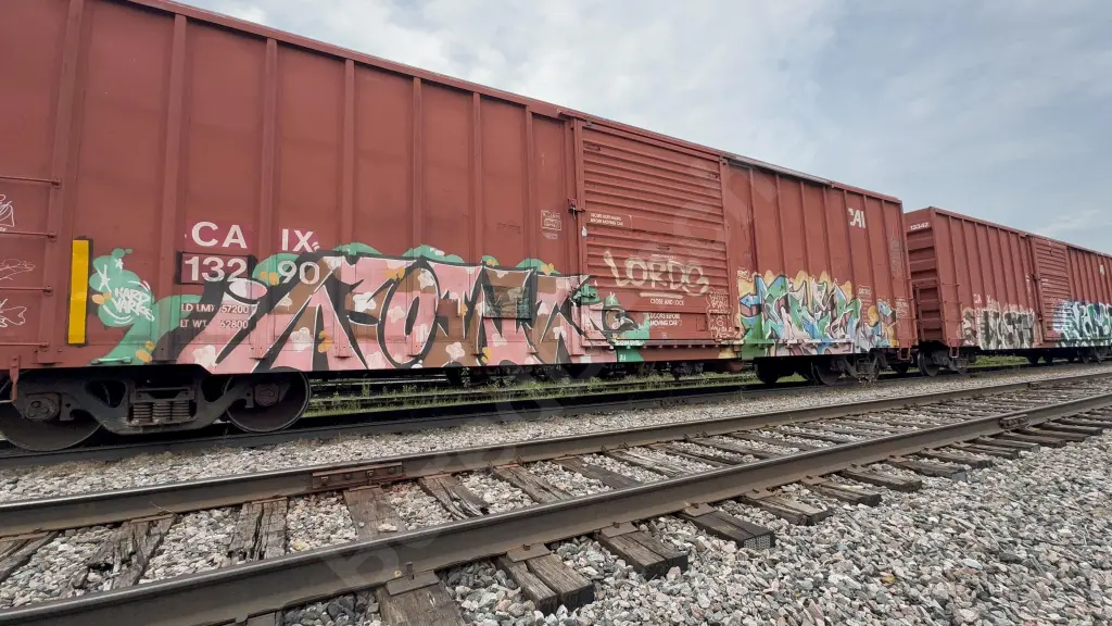 CAIX13290 - NORTH-AMERICA