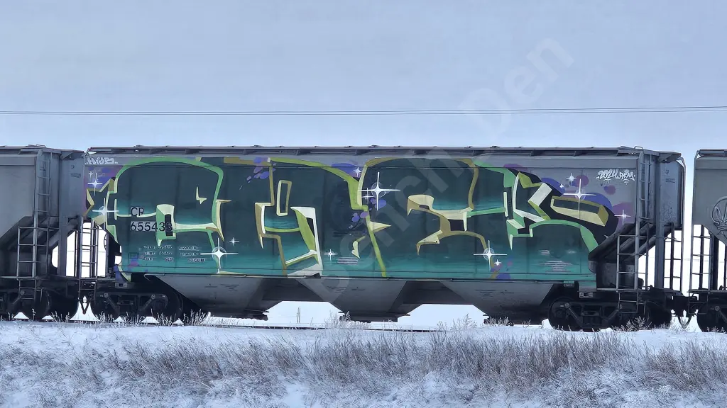 CP655433 - NORTH-AMERICA