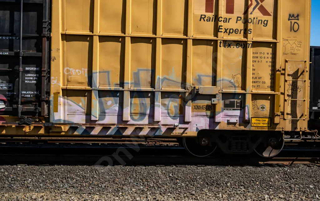 FBOX502479 - NORTH-AMERICA