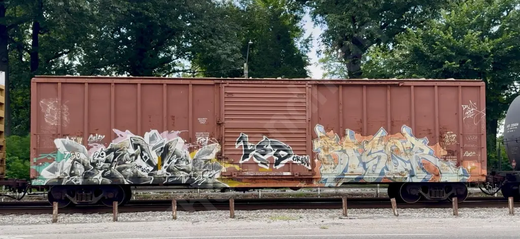 ATW75029 - NORTH-AMERICA