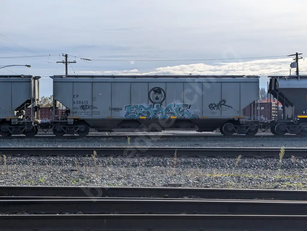 CP650615 - NORTH-AMERICA