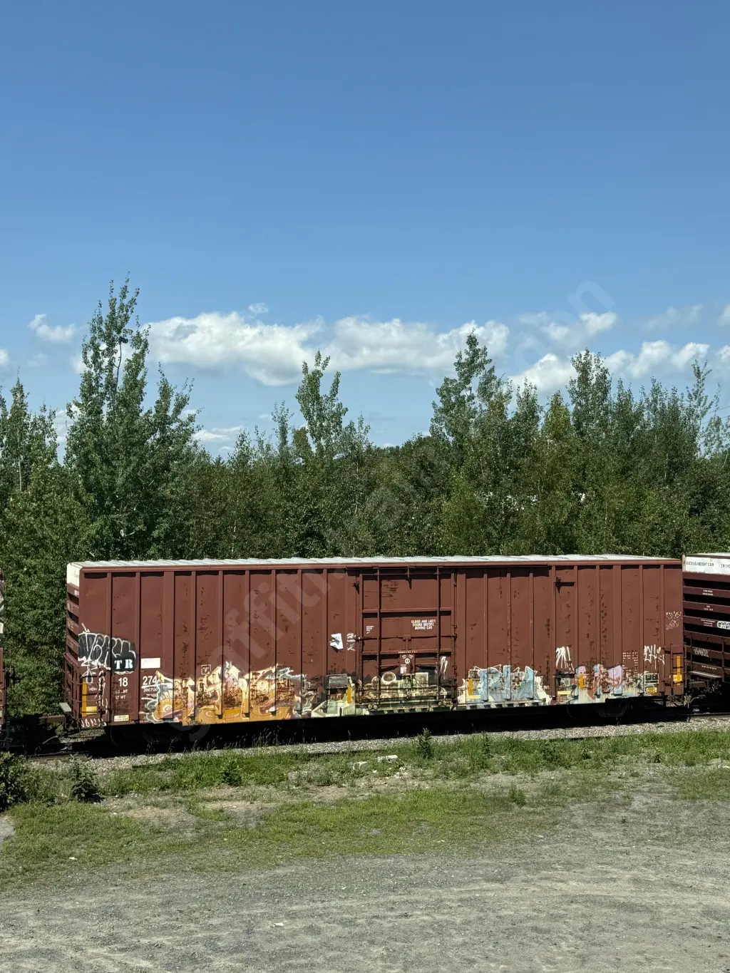 TR18274 - NORTH-AMERICA