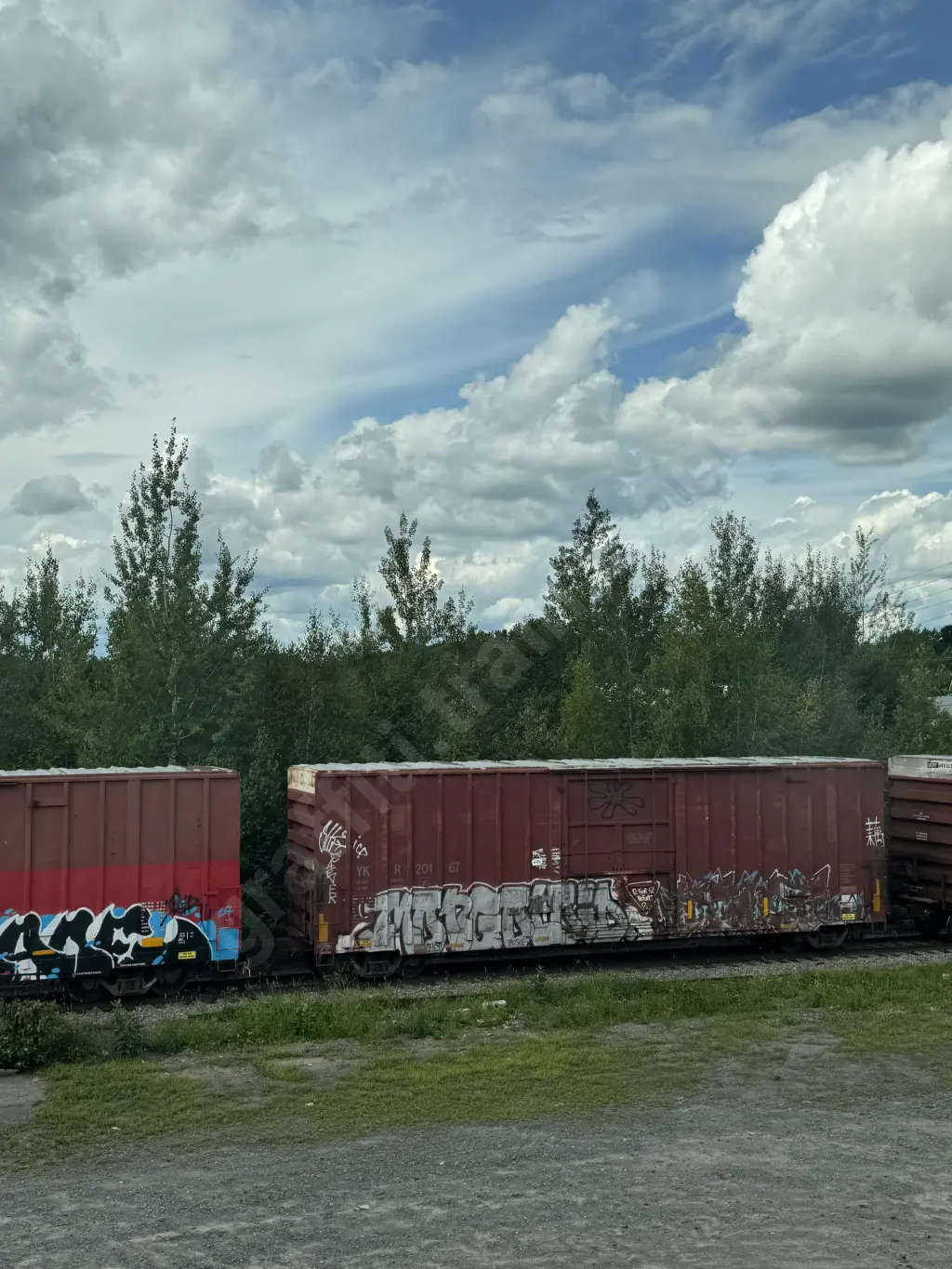 YKR20167 - NORTH-AMERICA
