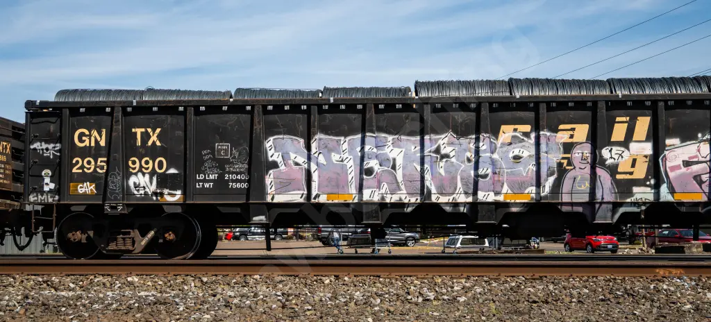 GNTX295990 - NORTH-AMERICA