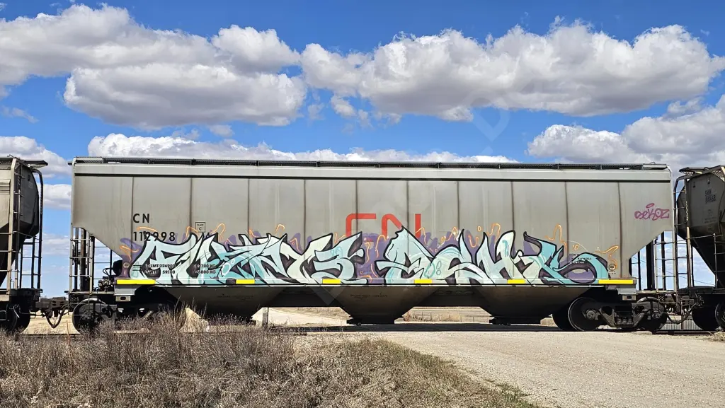 CN112998 - NORTH-AMERICA