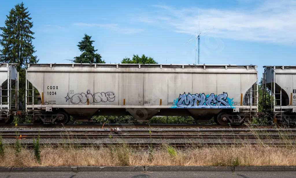 CGOX1024 - NORTH-AMERICA