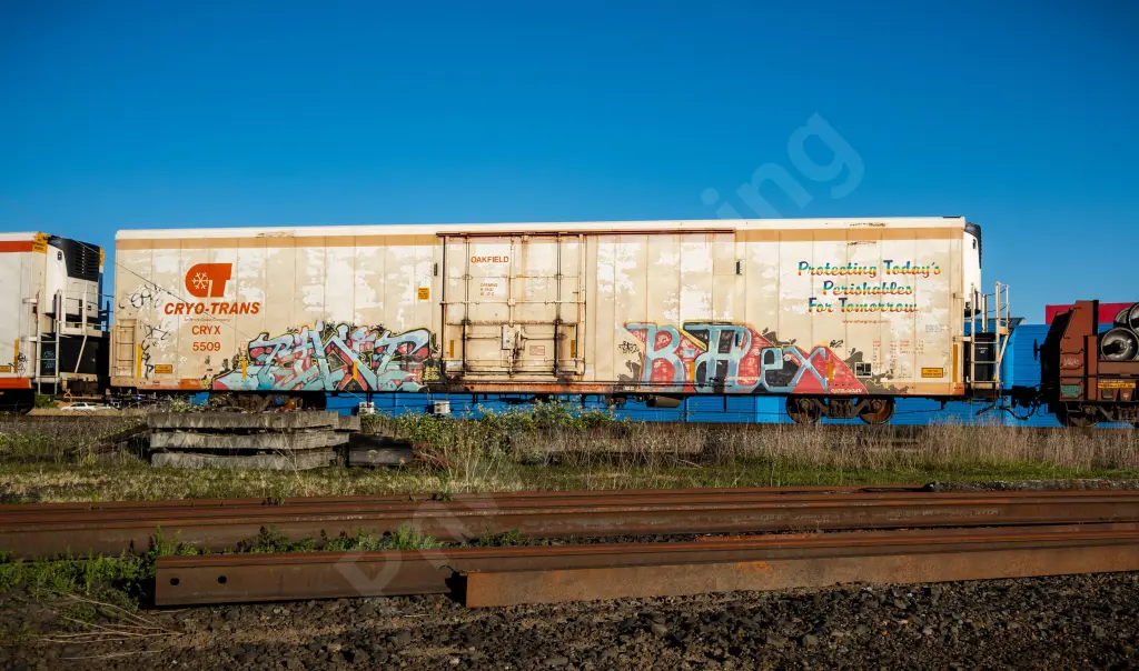 CRYX5509 - NORTH-AMERICA