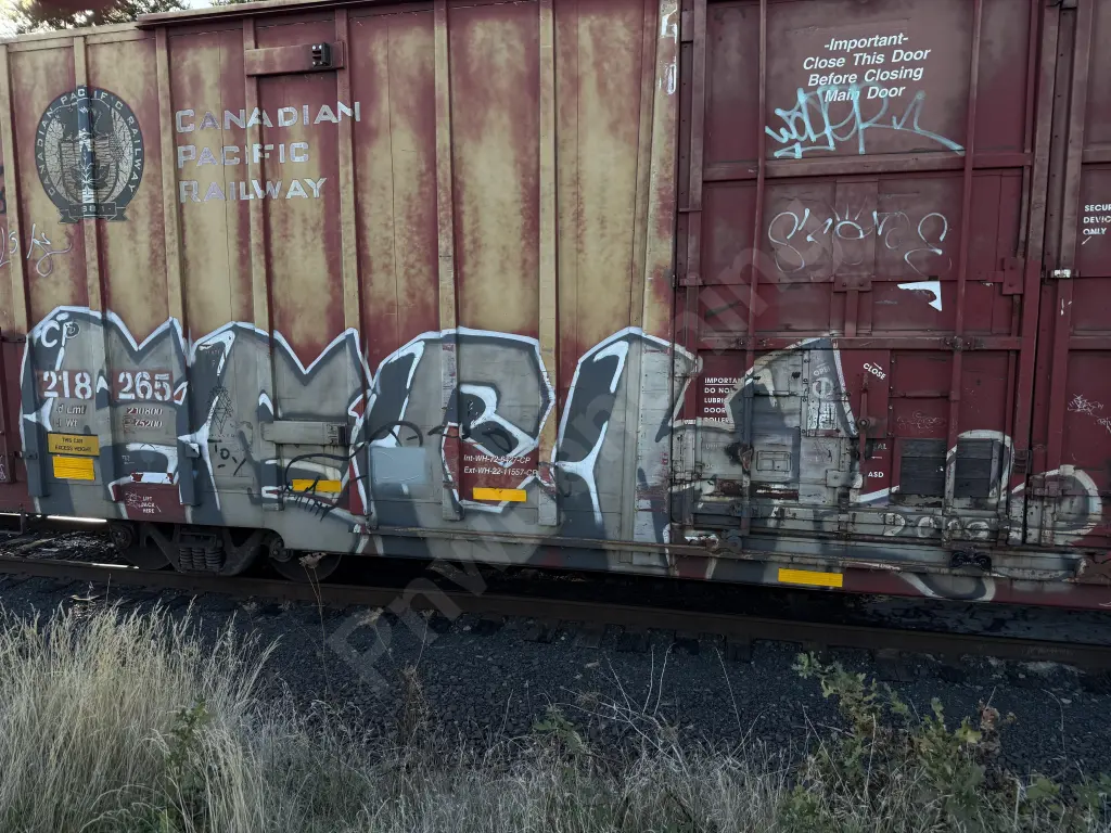 CP218265 - NORTH-AMERICA