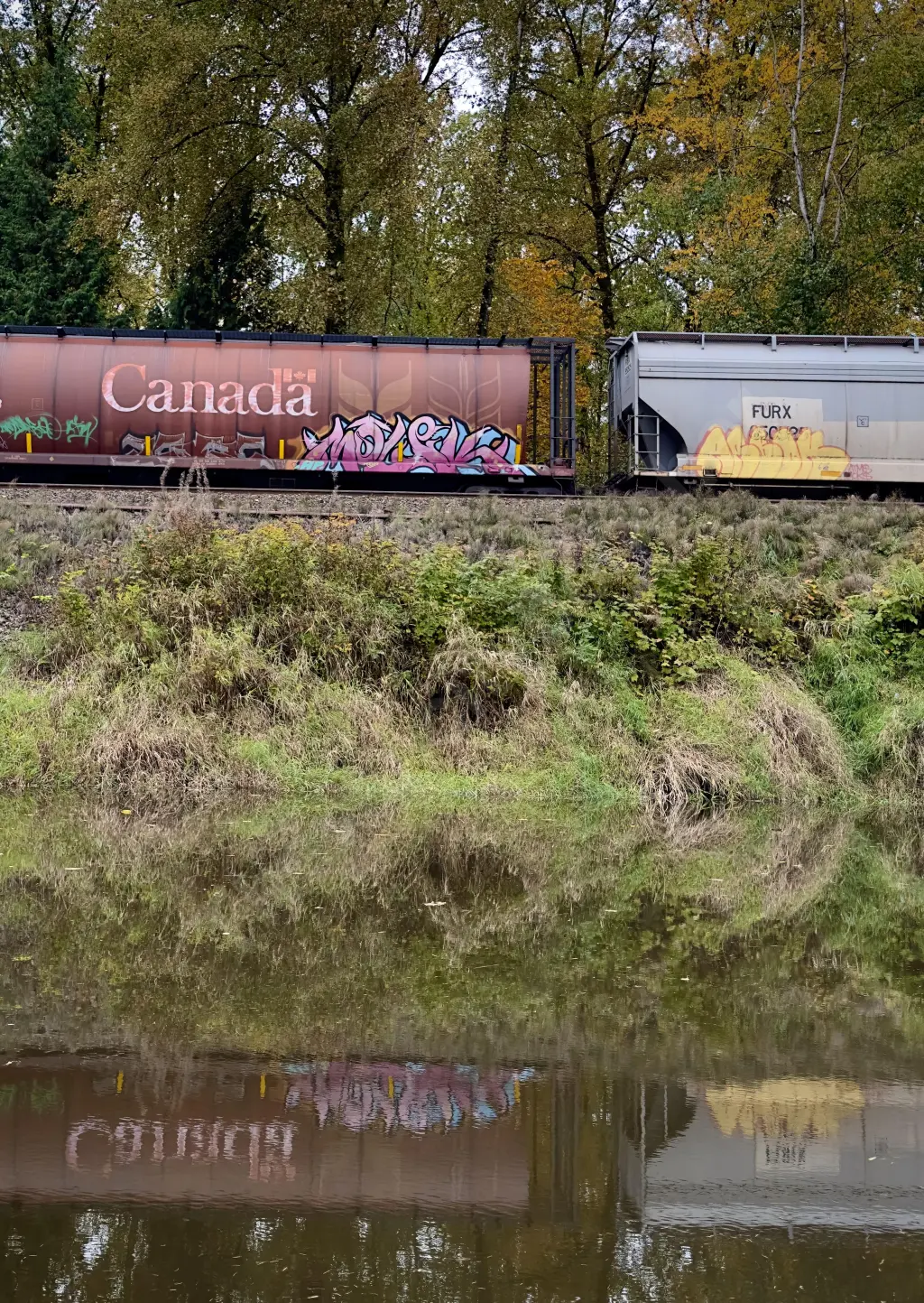 CN111133 - NORTH-AMERICA