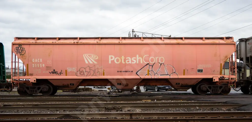 GACX31559 - NORTH-AMERICA