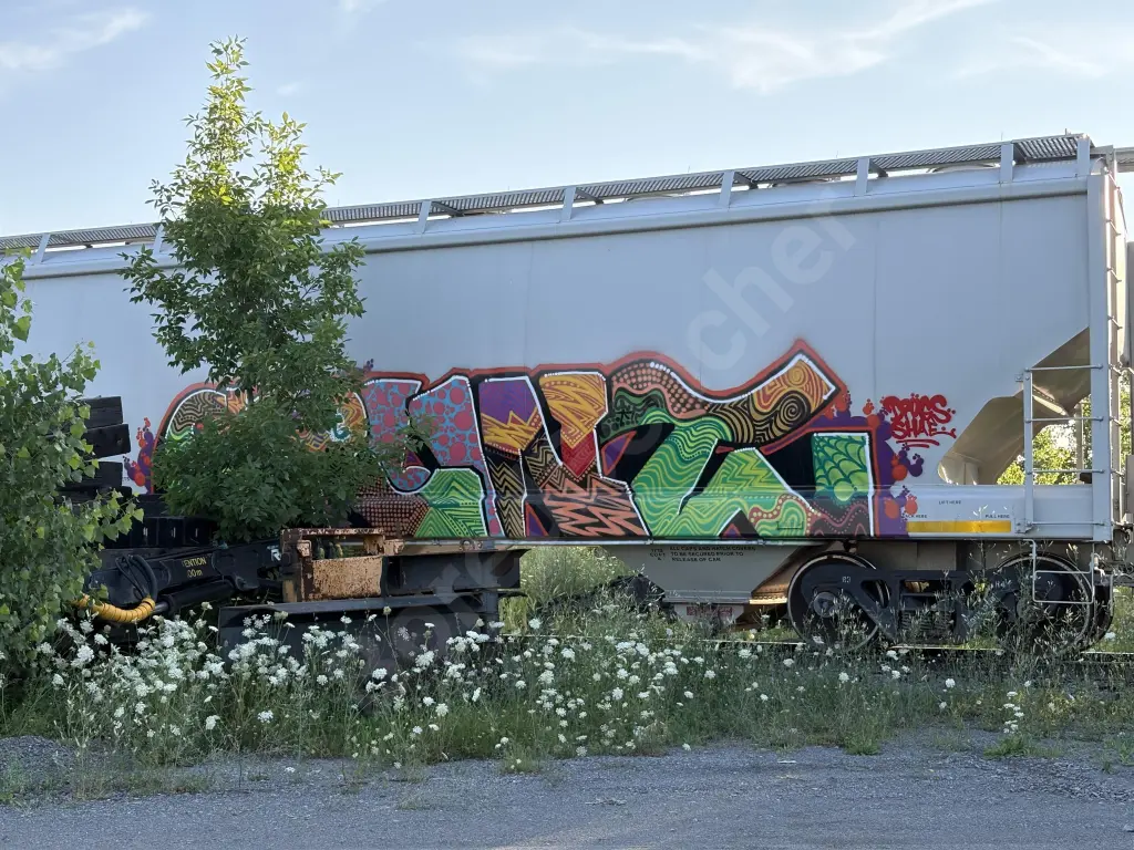 EQUX13138 - NORTH-AMERICA