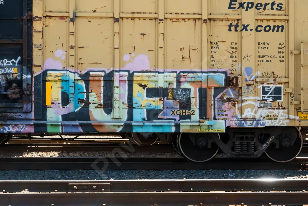 FBOX504815 - NORTH-AMERICA