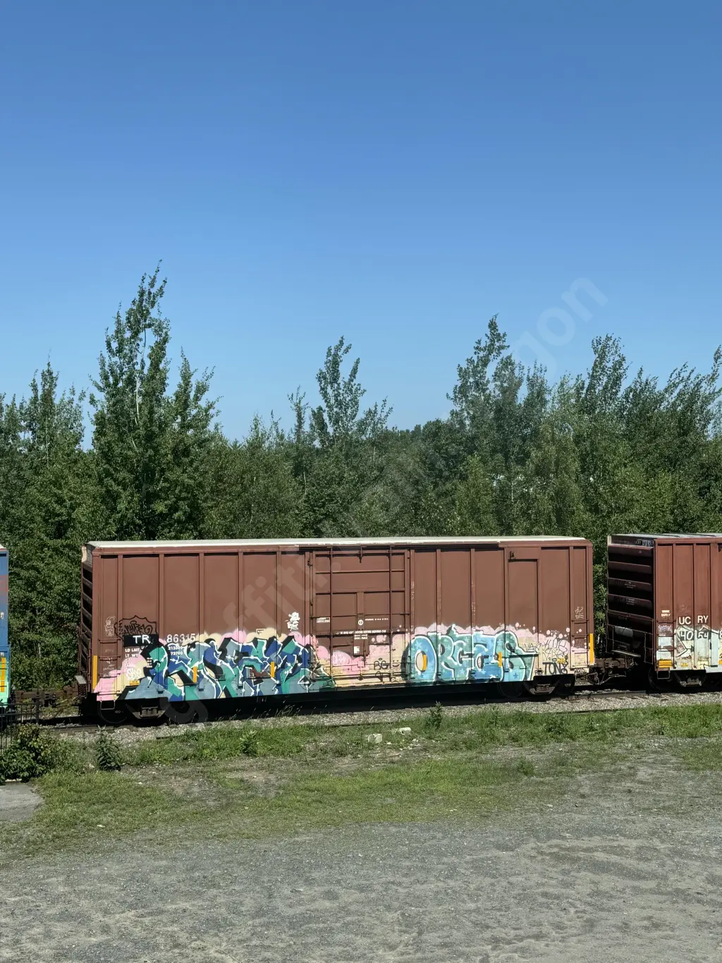 TR86315 - NORTH-AMERICA