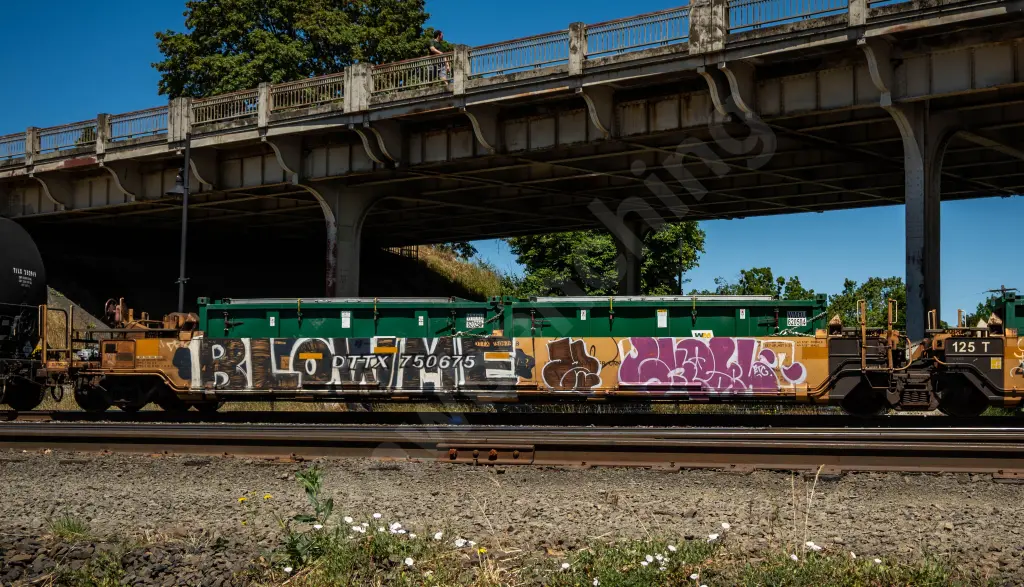 DTTX750675 - NORTH-AMERICA