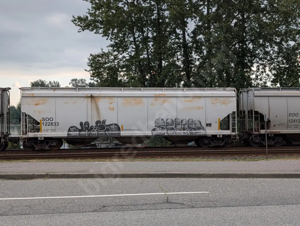 SOO122833 - NORTH-AMERICA