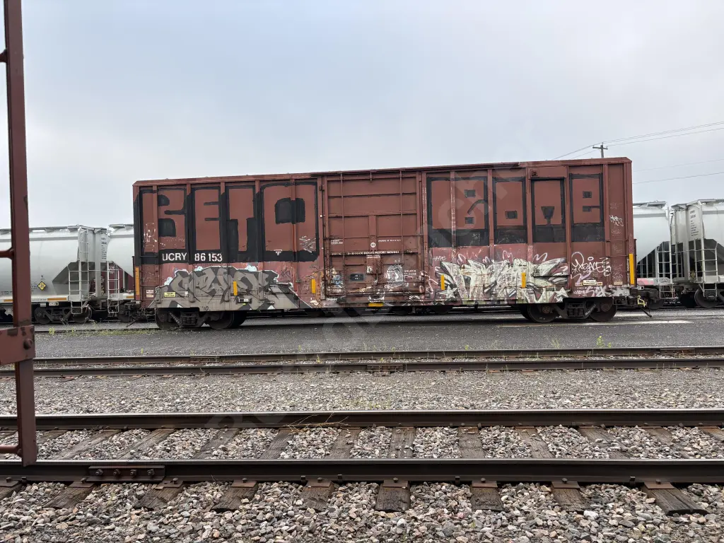 UCRY86153 - NORTH-AMERICA