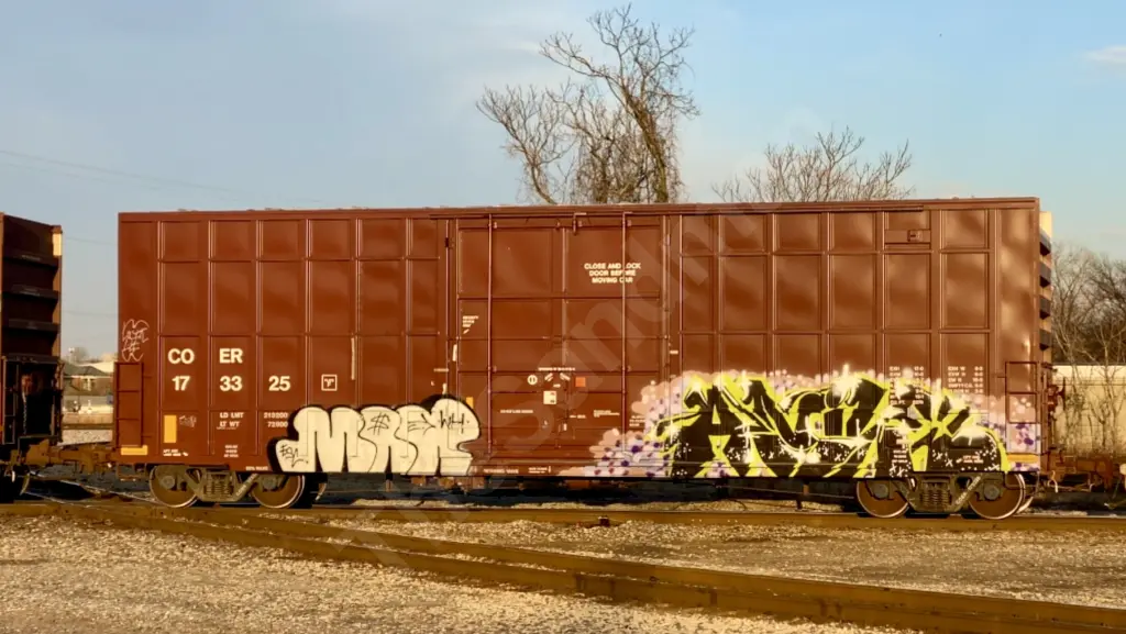 COER173325 - NORTH-AMERICA