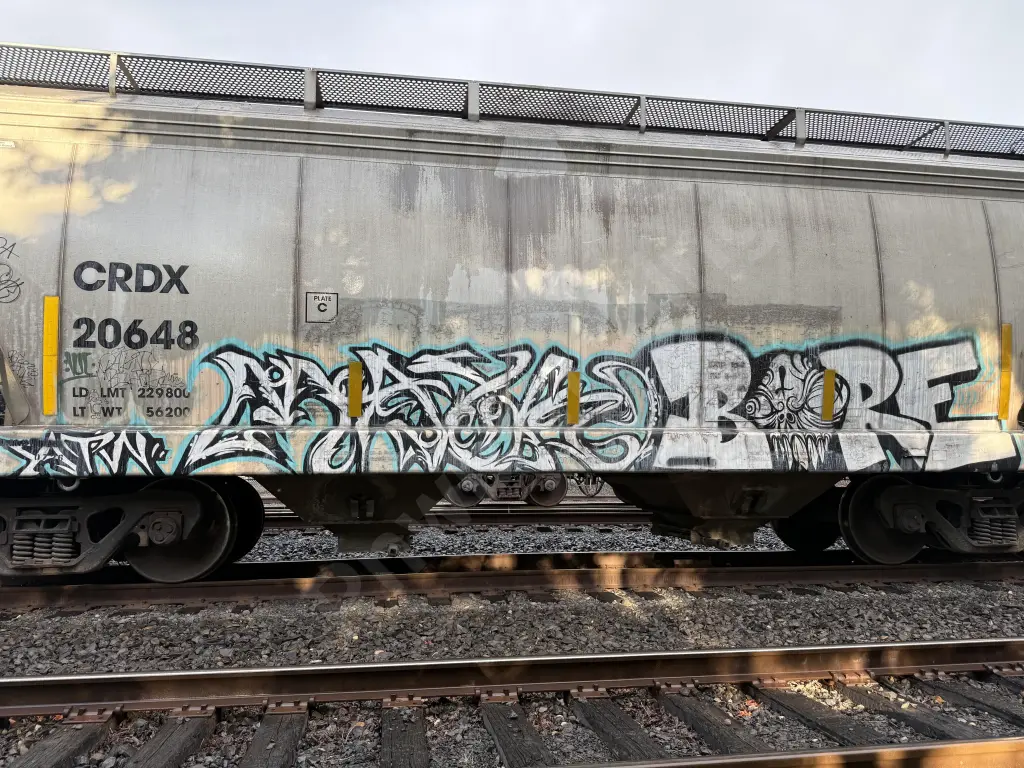 CRDX20648 - NORTH-AMERICA