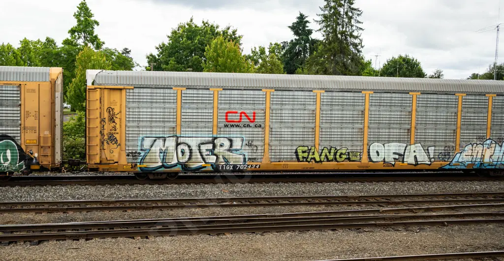 TTGX702434 - NORTH-AMERICA