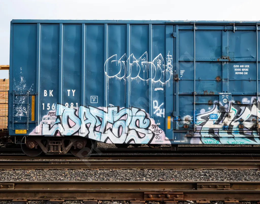 BKTY156981 - NORTH-AMERICA