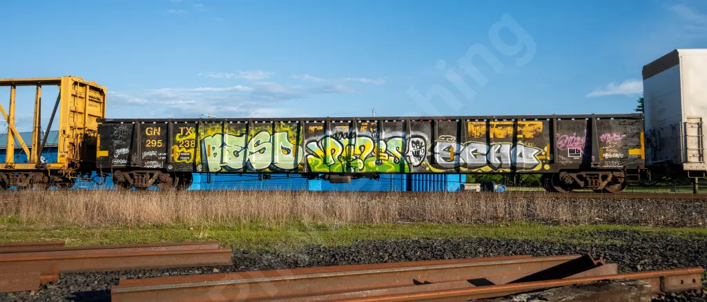 GNTX295238 - NORTH-AMERICA